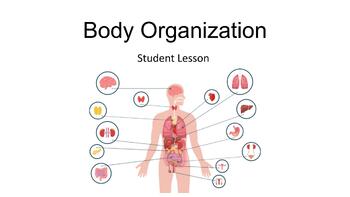 Preview of Human Body Systems: Body Organization
