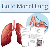 Respiratory System Activity (Build a Model Lung)