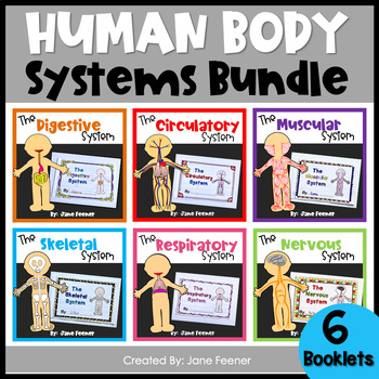 Preview of Human Body Systems Bundle