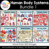 Human Body Systems - Bundle 1