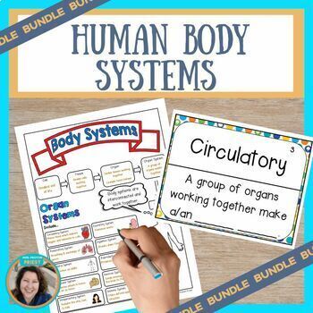 Preview of Human Body Systems Interactive Science Notebook Bundle With Notes, Game, & More