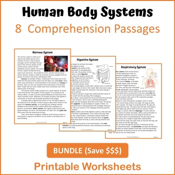 Preview of Human Body Systems Bundle Reading Comprehension - Printable Worksheets