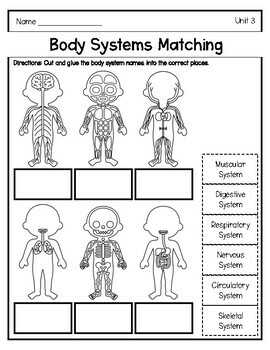 Human Body Systems CKLA 3rd Gr Unit 3 Supplement Pack by Pretty Much ...