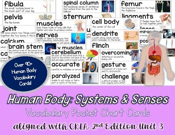 Preview of Human Body Systems CKLA Unit 3 Vocabulary Spelling Cards 3rd Grade