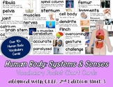 Human Body Systems CKLA Unit 3 Vocabulary Spelling Cards 3