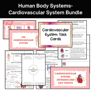 Preview of Human Body Systems: Cardiovascular System Bundle
