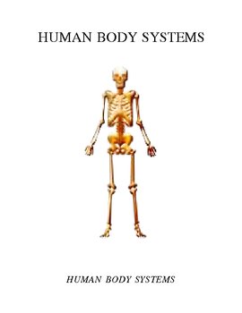 Preview of Human Body Systems Chart