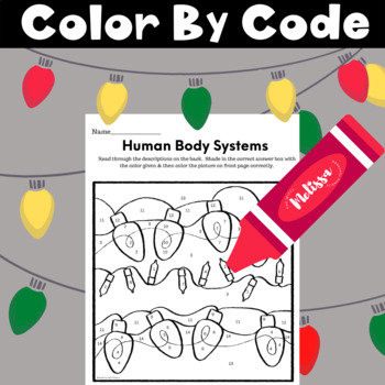 Preview of Human Body Systems Christmas / Seasonal Color By Number