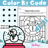 Human Body Systems Christmas / Winter Seasonal Color By Number
