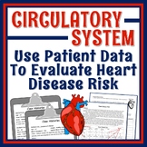 Human Body Organ Systems Circulatory System Activity Heart