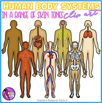 Preview of Human Body Systems Realistic Diverse Clip Art