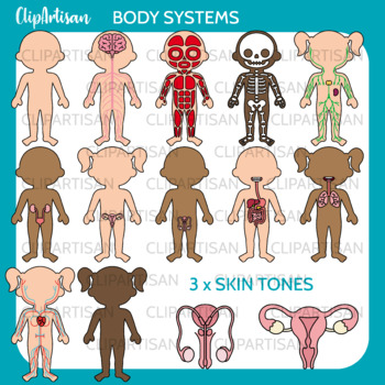 Human Body Systems Clip Art by ClipArtisan | TPT
