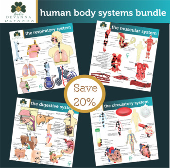 Preview of Human Body Systems Clip Art Bundle
