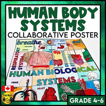 Preview of Human Body Systems Collaborative Poster | Living Systems | Colouring Activity