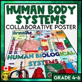Human Body Systems Collaborative Poster | Living Systems |