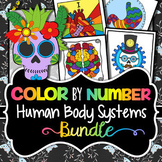 Human Body Systems Color by Number - Science Color By Number Bundle