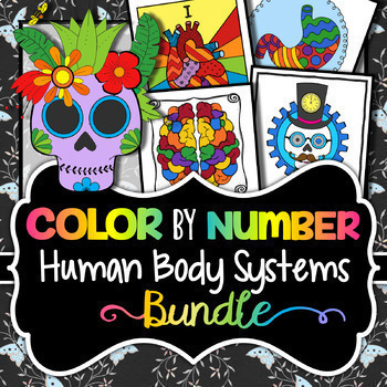 Preview of Human Body Systems Color by Number - Science Color By Number Bundle