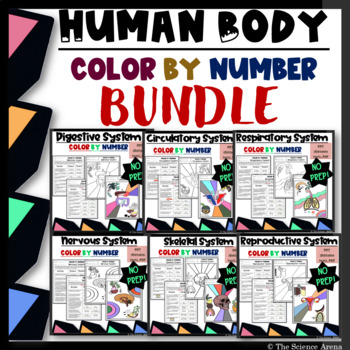 Preview of Human Body Systems Color by Number BUNDLE EDITABLE Q&As Science Coloring Sheets