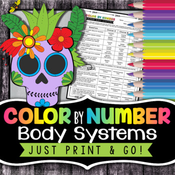 Preview of Human Body Systems Color by Number - Science Color By Number Review