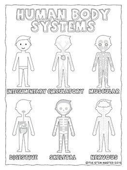 Human Body Systems Coloring Notes by The STEM Master | TpT