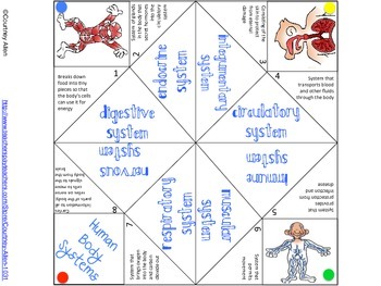 Preview of Human Body Systems Cootie Catcher