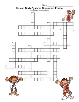 Human Body Systems Crossword Puzzle Answers Organ system that