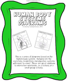Human Body Systems Diagrams BUNDLE
