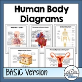 Human Body Systems Diagrams and Worksheets for Student Labeling