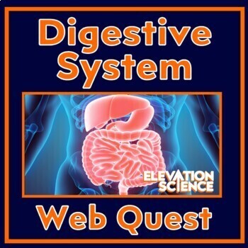 Preview of Human Body Systems Digestive System Activity Webquest with Google Doc Version