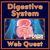 Human Body Systems Digestive System Activity Webquest with