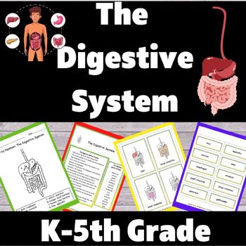 Preview of Human Body Systems: Digestive System Supplement Packet