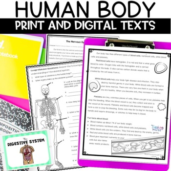 Preview of Human Body Systems Worksheets