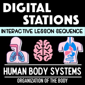 Preview of Human Body Systems Digital Stations 