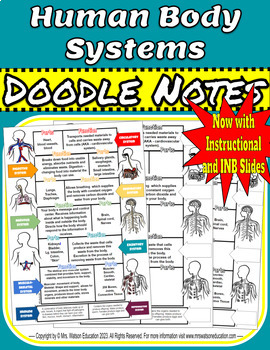 Preview of Human Body Systems "Doodle" Style Notes, with Slides, INB,& Digital INB