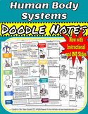 Human Body Systems "Doodle" Style Notes, with Slides, INB,