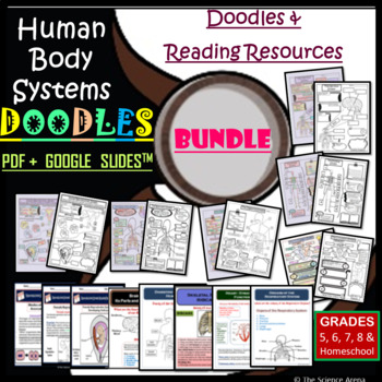 Preview of Human Body Systems Doodles Bundle with Reading Resources | Science Doodles