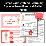 Human Body Systems: Excretory System PowerPoint and Guided Notes