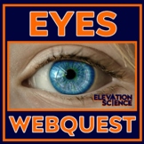 Human Body Systems Eye Webquest Anatomy How the Eye Works 