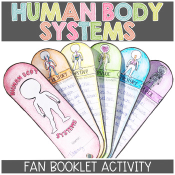 Preview of The Human Body Systems Activities Fans Project