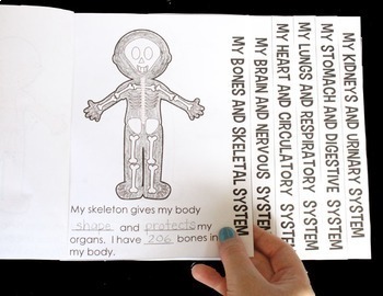 Help your preschooler make a body flipbook