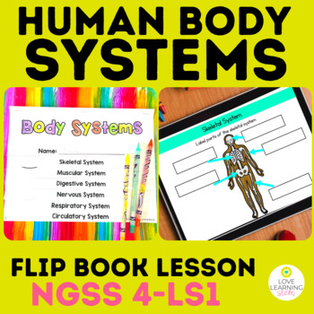 Preview of Human Body Systems Flip Book Lesson 4th Grade NGSS Review Activity
