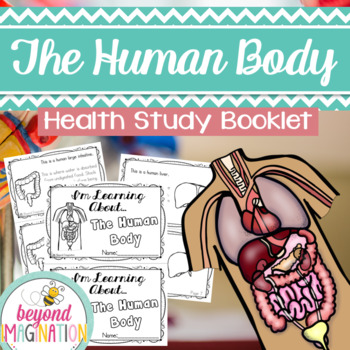 Preview of Human Body Systems Fun Facts