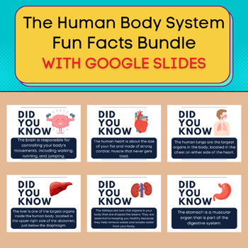Preview of Human Body Systems Fun Facts Bundle. Printable (Google Slides)