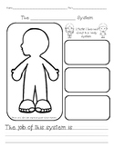 Human Body Systems Graphic Organizer