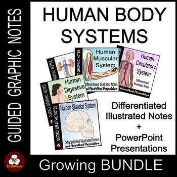 Preview of Human Body Systems Guided Graphic Notes GROWING BUNDLE