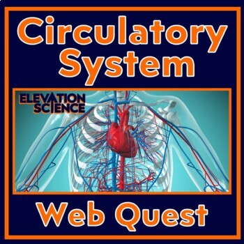 Preview of Human Body Systems Heart and Circulatory System Activity Webquest