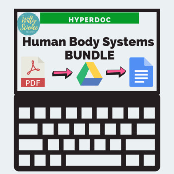 Preview of Human Body Systems HyperDoc Bundle (PDF to Drive)