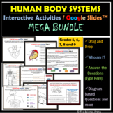 Human Body Systems Activities Interactive Worksheets Digit