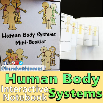 Preview of Human Body Systems Graphic Organizers for Interactive Notebooks
