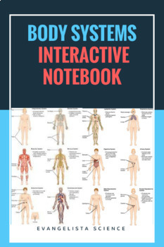 Preview of Human Body Systems Interactive Notebook